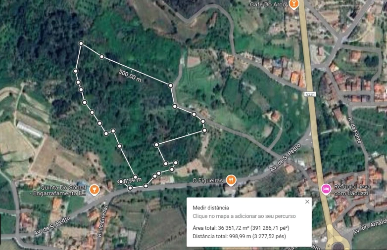 Terreno Agricola ou Rústico para Venda em Santar e Moreira Foto 6