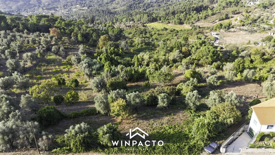 Terreno Agricola ou Rústico para Venda em Santar e Moreira Foto 2