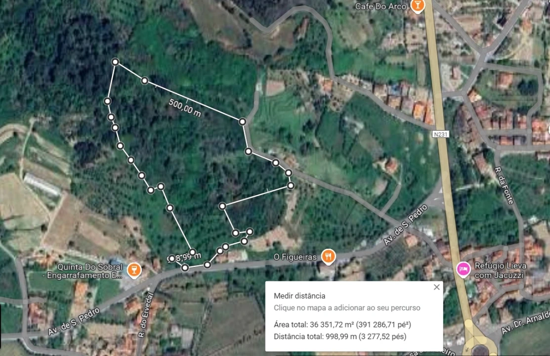 Terreno Agricola ou Rústico para Venda em Santar e Moreira Foto 6