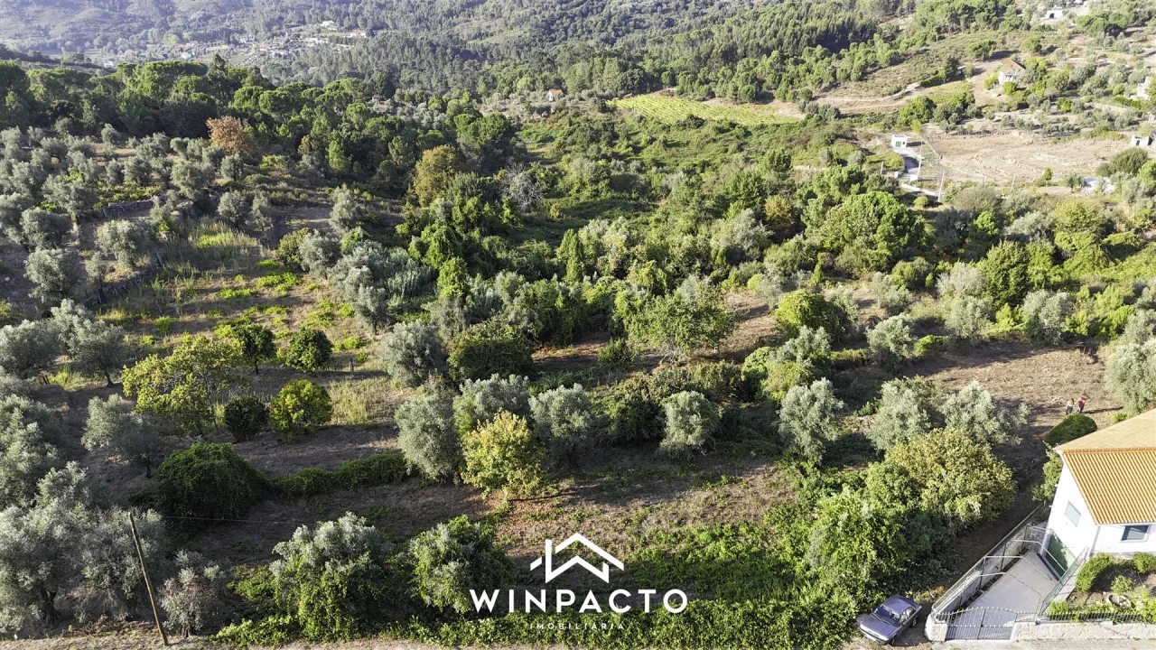 Terreno Agricola ou Rústico para Venda em Santar e Moreira Foto 2