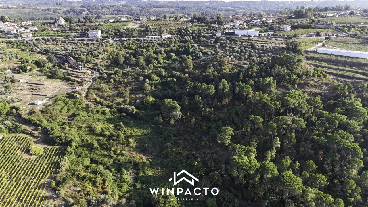 Terreno Agricola ou Rústico para Venda em Santar e Moreira Foto 5