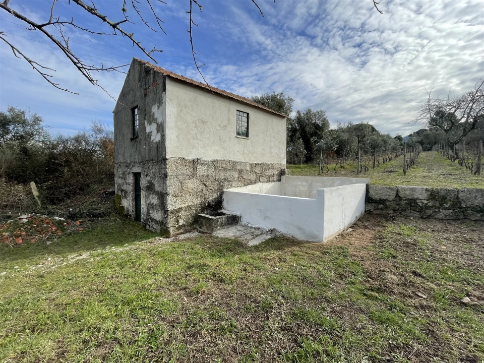 Quinta T0 para Venda em Nespereira Foto 1