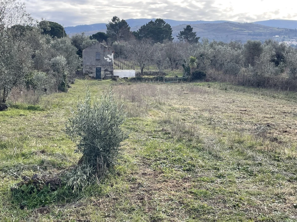 Quinta T0 para Venda em Nespereira Foto 9