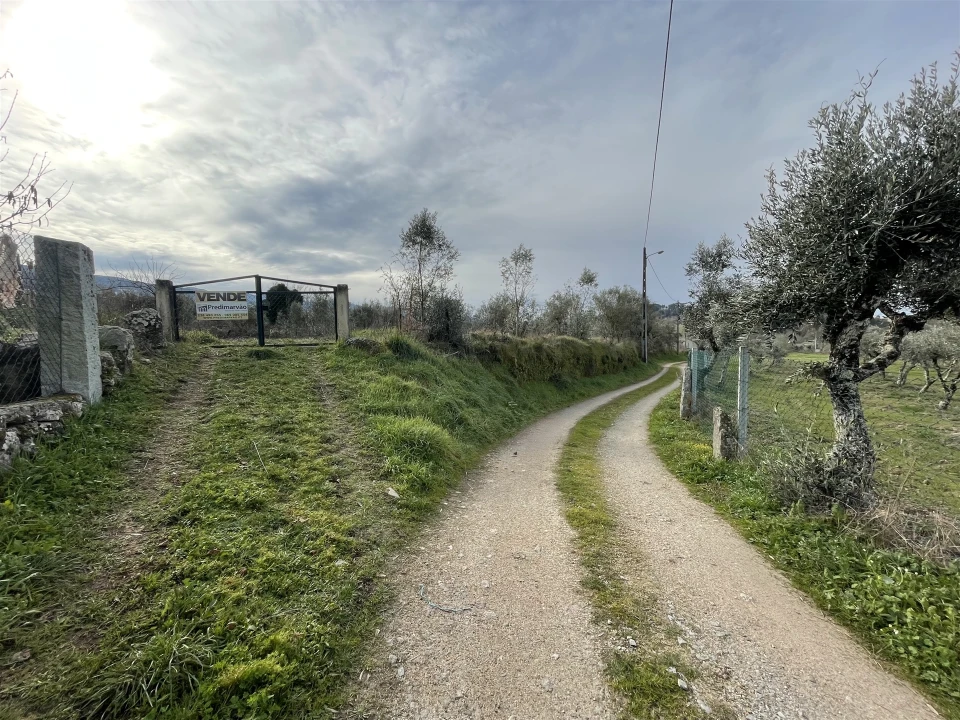 Quinta T0 para Venda em Nespereira Foto 11