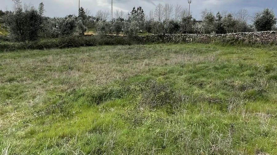 Terreno para Venda em Arcozelo