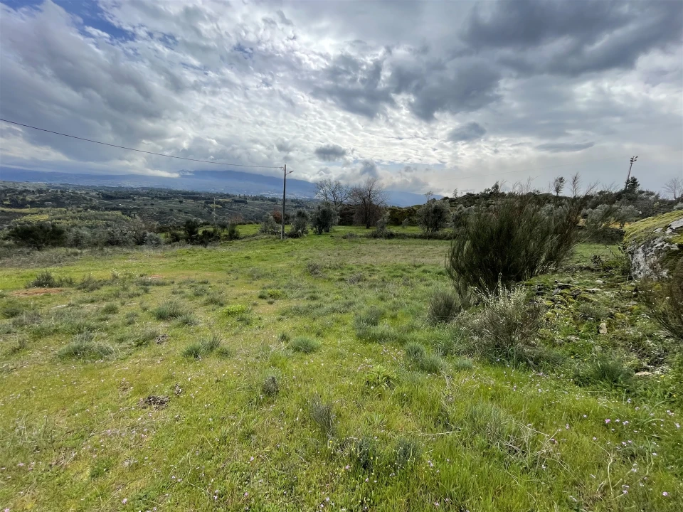Terreno para Venda em Arcozelo Foto 6