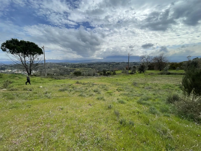 Terreno para Venda em Arcozelo Foto 7