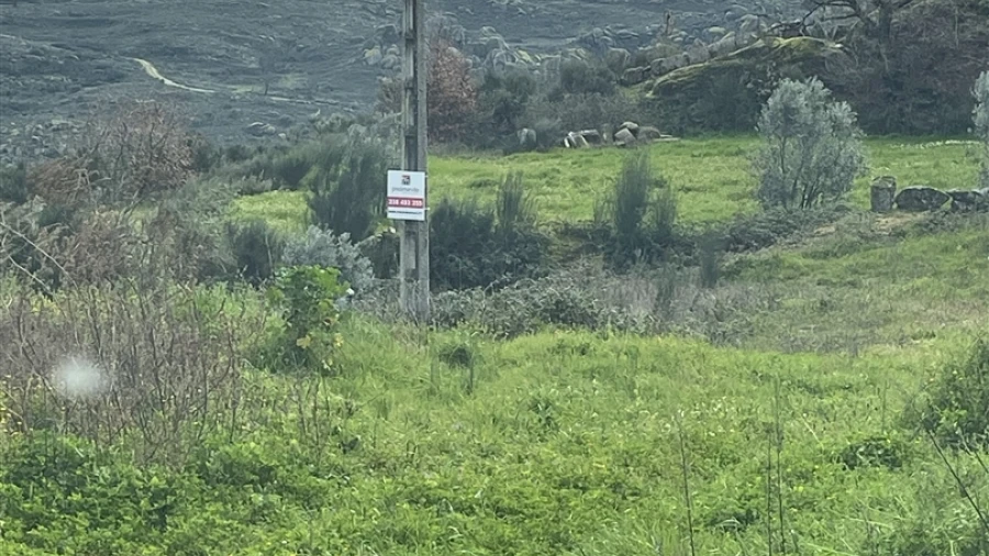 Terreno para Venda em Arcozelo