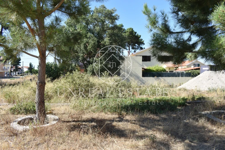 Terreno para Venda em Quinta do Conde Foto 4