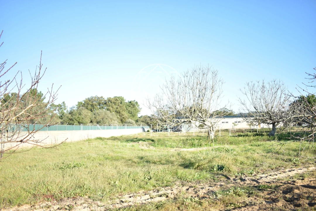Quinta T1 para Venda em Azeitão (São Lourenço e São Simão) Foto 43