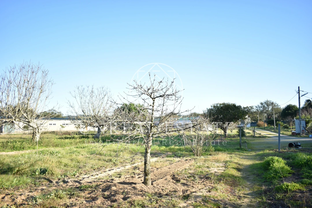 Quinta T1 para Venda em Azeitão (São Lourenço e São Simão) Foto 44