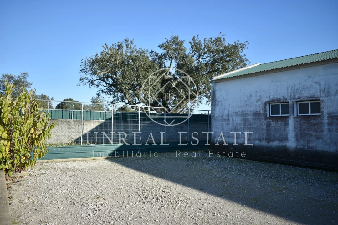 Quinta T1 para Venda em Azeitão (São Lourenço e São Simão) Foto 19