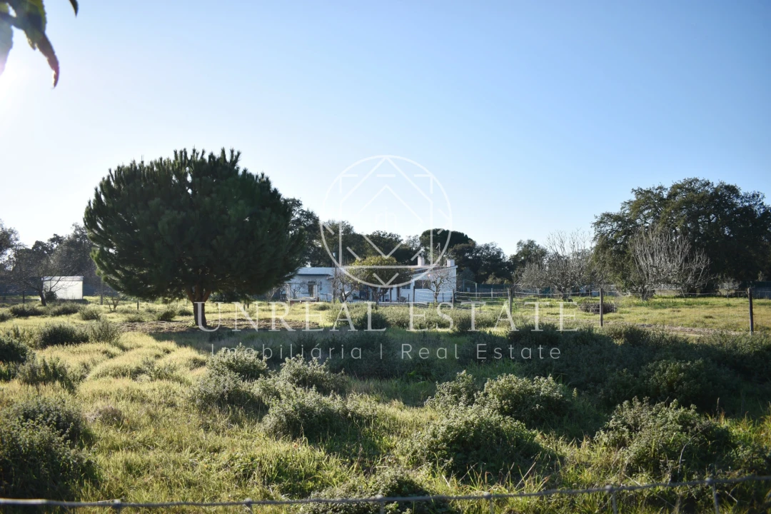 Quinta T1 para Venda em Azeitão (São Lourenço e São Simão) Foto 11