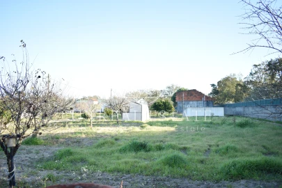 Quinta T1 para Venda em Azeitão (São Lourenço e São Simão)
