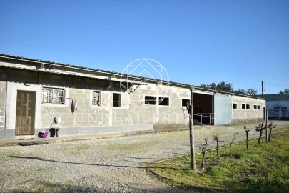 Quinta T1 para Venda em Azeitão (São Lourenço e São Simão)