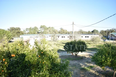 Quinta T1 para Venda em Azeitão (São Lourenço e São Simão)