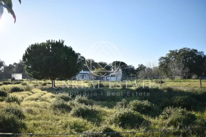 Quinta T1 para Venda em Azeitão (São Lourenço e São Simão)