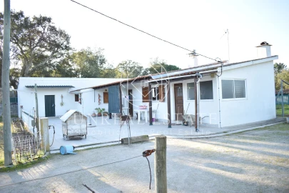 Quinta T1 para Venda em Azeitão (São Lourenço e São Simão)
