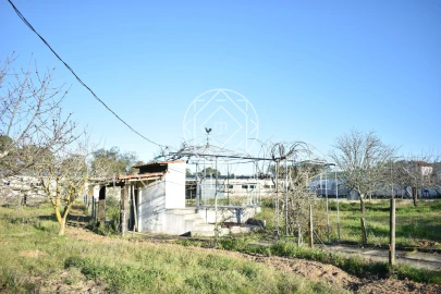 Quinta T1 para Venda em Azeitão (São Lourenço e São Simão)
