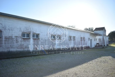 Quinta T1 para Venda em Azeitão (São Lourenço e São Simão)