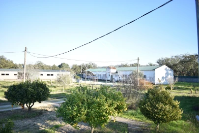Quinta T1 para Venda em Azeitão (São Lourenço e São Simão)