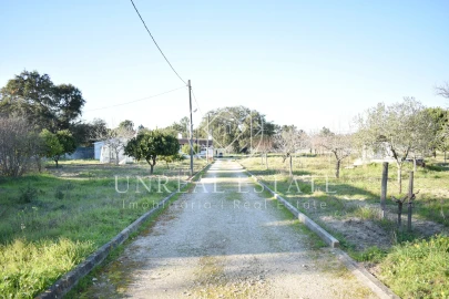 Quinta T1 para Venda em Azeitão (São Lourenço e São Simão)