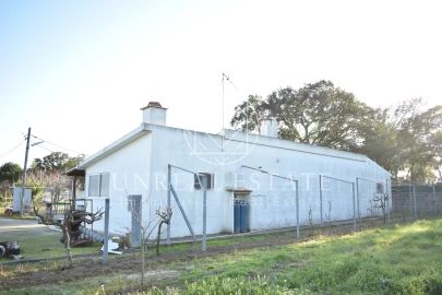 Quinta T1 para Venda em Azeitão (São Lourenço e São Simão)