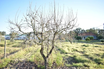 Quinta T1 para Venda em Azeitão (São Lourenço e São Simão)