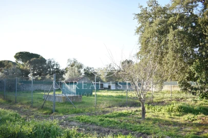 Quinta T1 para Venda em Azeitão (São Lourenço e São Simão)