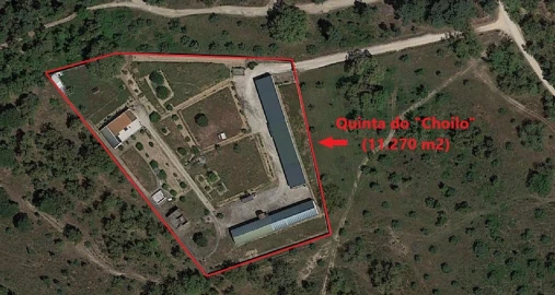 Quinta T1 para Venda em Azeitão (São Lourenço e São Simão)