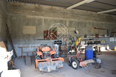Quinta T1 para Venda em Azeitão (São Lourenço e São Simão)