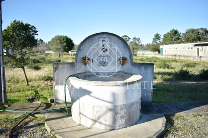 Quinta T1 para Venda em Azeitão (São Lourenço e São Simão)