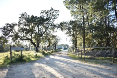 Quinta T1 para Venda em Azeitão (São Lourenço e São Simão)