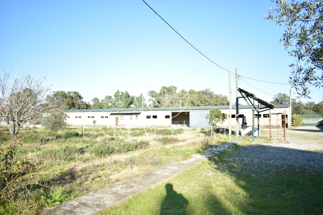 Quinta T1 para Venda em Azeitão (São Lourenço e São Simão) Foto 31