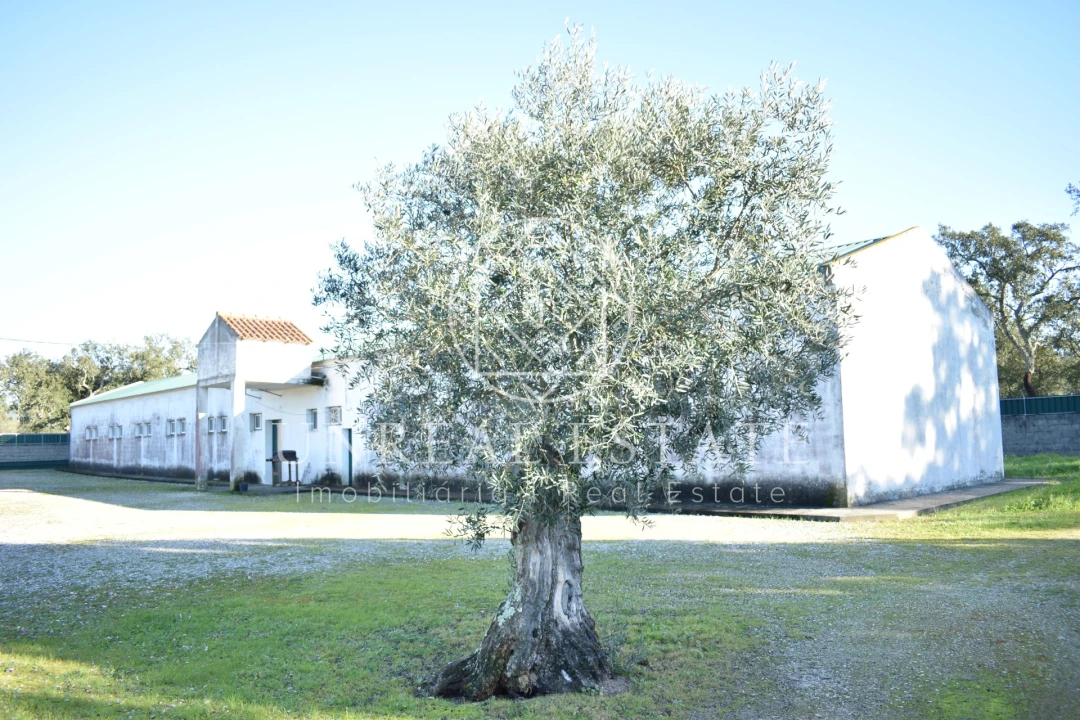 Quinta T1 para Venda em Azeitão (São Lourenço e São Simão) Foto 27