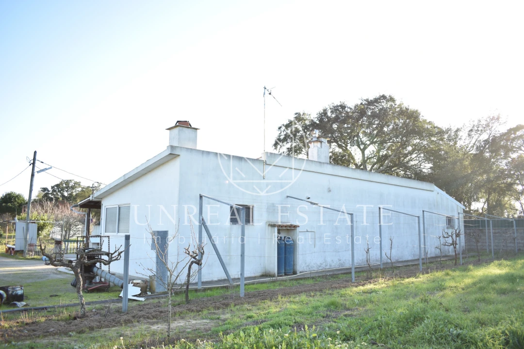 Quinta T1 para Venda em Azeitão (São Lourenço e São Simão) Foto 42