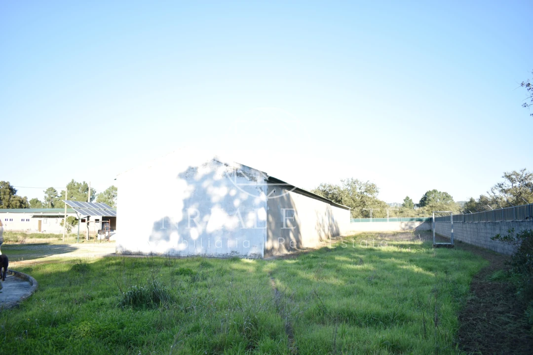 Quinta T1 para Venda em Azeitão (São Lourenço e São Simão) Foto 26