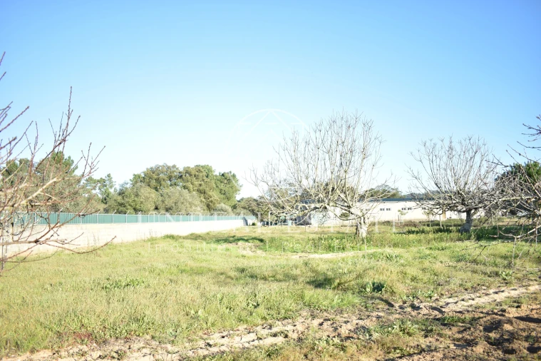 Quinta T1 para Venda em Azeitão (São Lourenço e São Simão) Foto 43