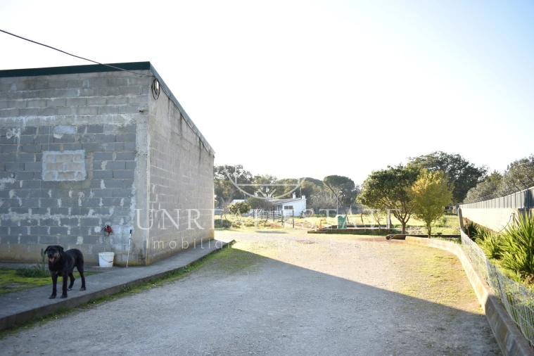 Quinta T1 para Venda em Azeitão (São Lourenço e São Simão) Foto 3