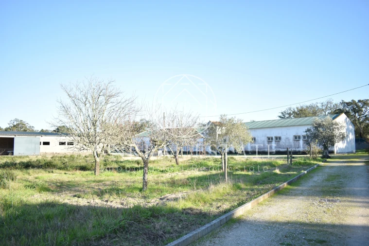 Quinta T1 para Venda em Azeitão (São Lourenço e São Simão) Foto 39