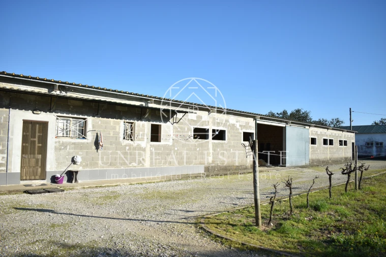 Quinta T1 para Venda em Azeitão (São Lourenço e São Simão) Foto 12