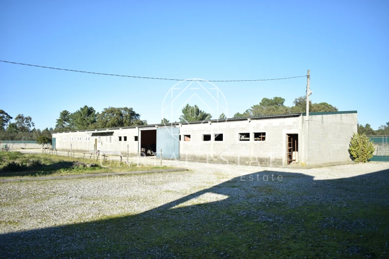 Quinta T1 para Venda em Azeitão (São Lourenço e São Simão) Foto 4