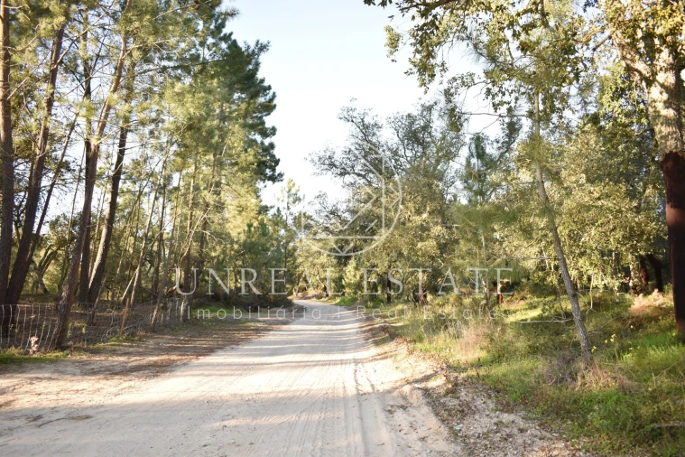 Quinta T1 para Venda em Azeitão (São Lourenço e São Simão) Foto 51