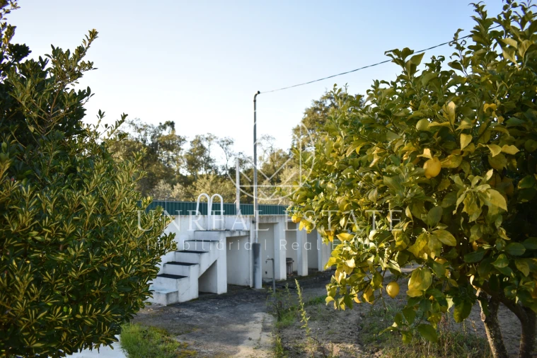 Quinta T1 para Venda em Azeitão (São Lourenço e São Simão) Foto 34