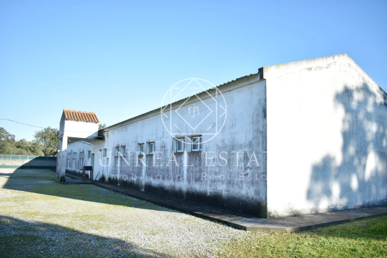 Quinta T1 para Venda em Azeitão (São Lourenço e São Simão) Foto 23