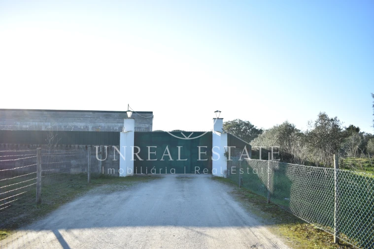 Quinta T1 para Venda em Azeitão (São Lourenço e São Simão) Foto 2