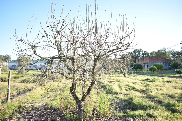 Quinta T1 para Venda em Azeitão (São Lourenço e São Simão) Foto 47
