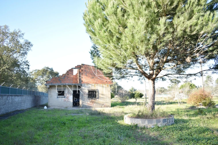 Quinta T1 para Venda em Azeitão (São Lourenço e São Simão) Foto 28