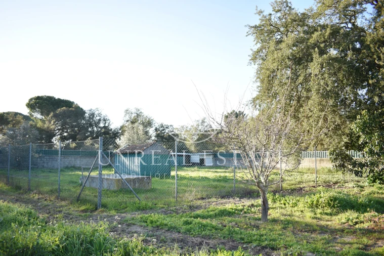 Quinta T1 para Venda em Azeitão (São Lourenço e São Simão) Foto 41