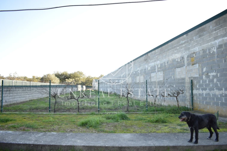 Quinta T1 para Venda em Azeitão (São Lourenço e São Simão) Foto 10